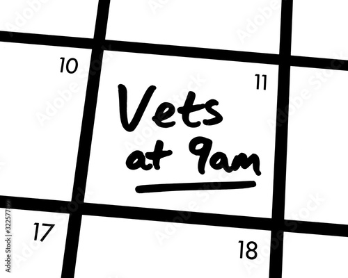 Vets at 9am