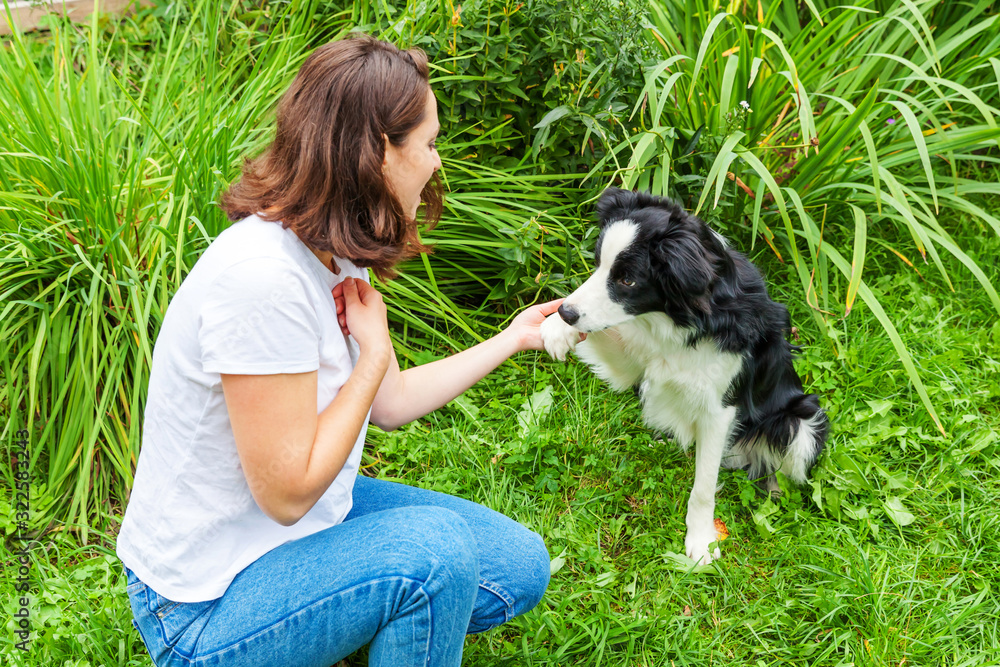 Smiling young attractive woman playing with cute puppy dog border collie in summer garden or city park outdoor background. Girl training trick with dog friend. Pet care and animals concept. Smiling young attractive woman playing with cute puppy dog border collie in summer garden or city park outdoor background. Girl training trick with dog friend. Pet care and animals concept.
