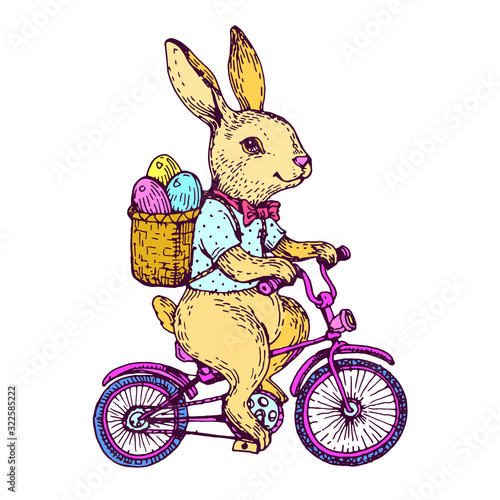 Easter rabbit, cute bunny with eggs in a basket riding bike. Old fashioned, vintage stock vector illustration for greeting card and poster