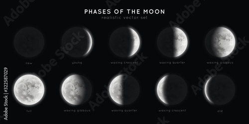 Realistic phases of the moon. Vector elements lunar collection. Moonlight