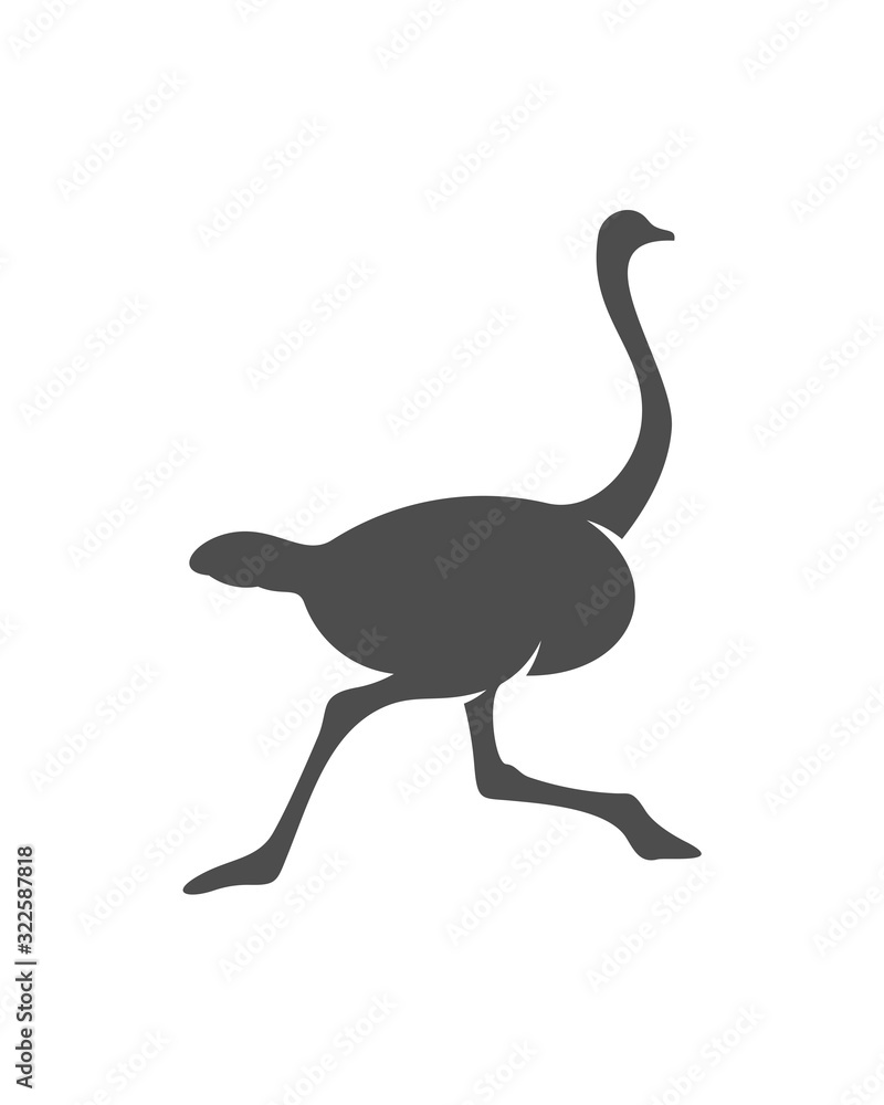 Ostrich logo vector, Animal graphic, Ostrich design Template illustration Ostrich logo vector, Animal graphic, Ostrich design Template illustration