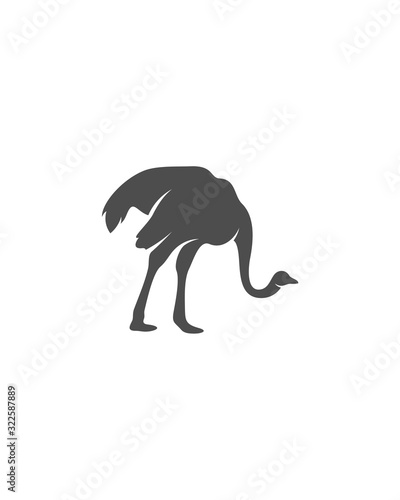 Ostrich logo vector  Animal graphic  Ostrich design Template illustration