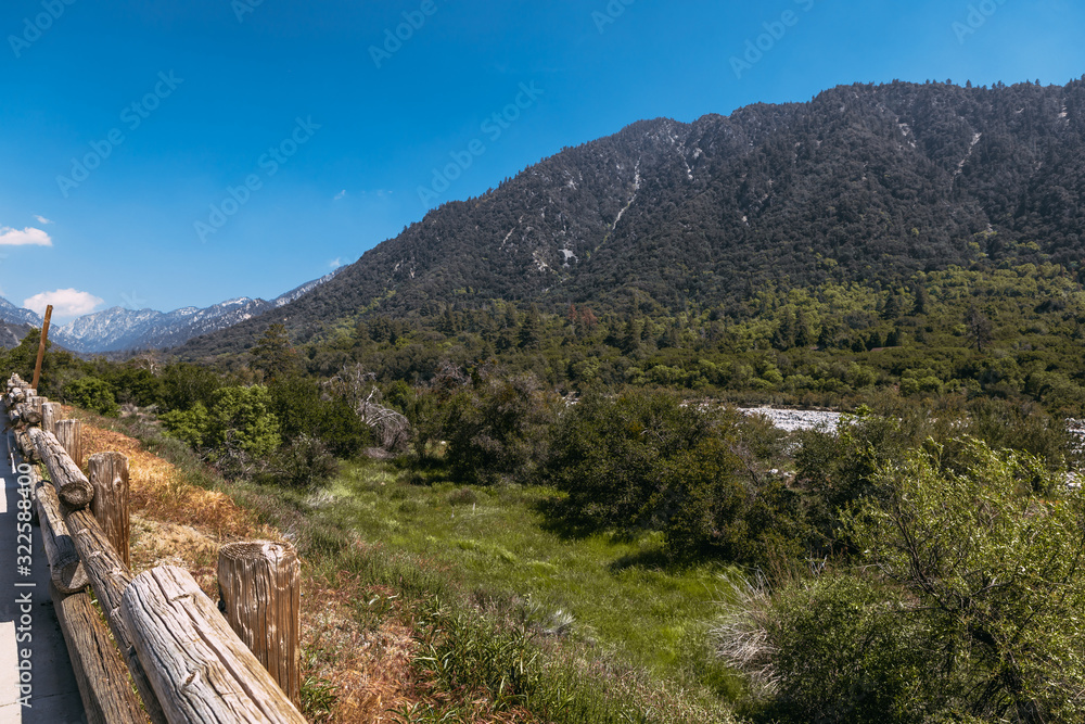 Bernardino National Forest, USA. Landscape of mountains and nature. in San Bernardino, United States