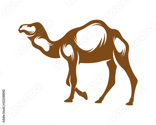 Camel logo vector, Animal graphic, Camel design Template illustration