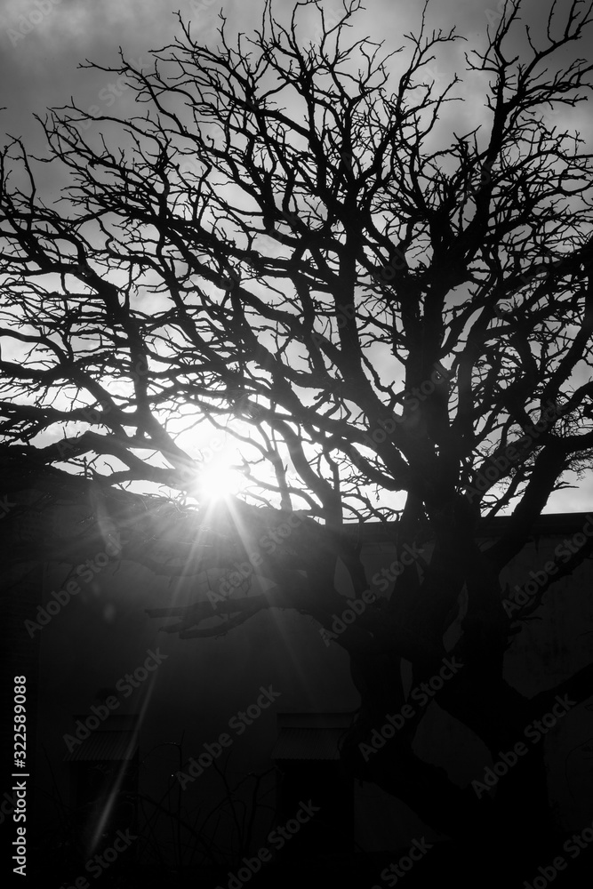 Obraz premium Iglesia