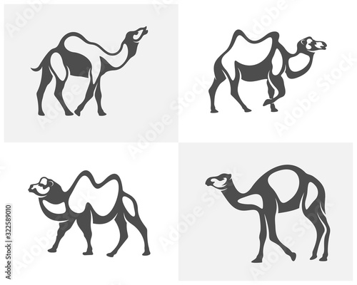 Set of Camel logo vector  Animal graphic  Camel design Template illustration