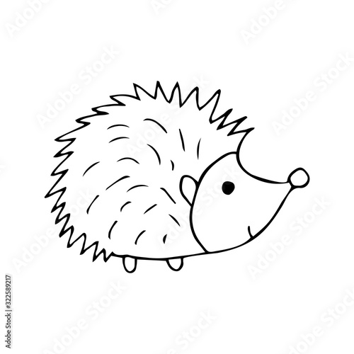 Cute hedgehog black and white doodle illustration on white background. Forest animal with prickly needles