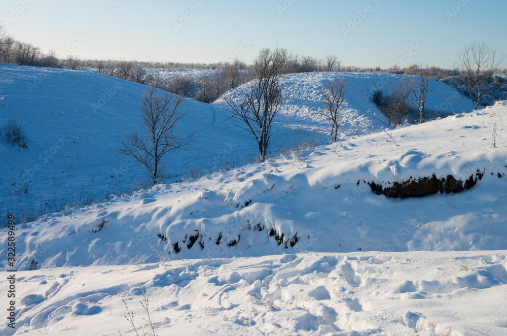 Winter, morning, dawn, trees, branch, snow, sunny, light, close-up, blue sky, forest. Winter, morning, dawn, trees, branch, snow, sunny, light, close-up, blue sky, forest.