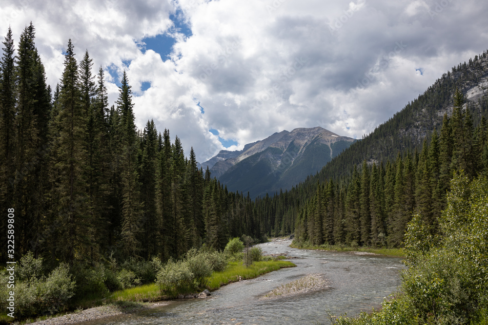 Landscape Landscape