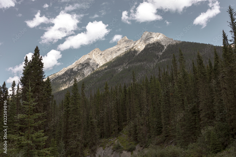 Landscape in the canadian Rockies Landscape in the canadian Rockies