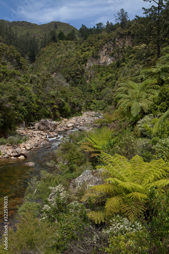 Karangahake gorge New Zealand. Forest and Ohinemuri River
