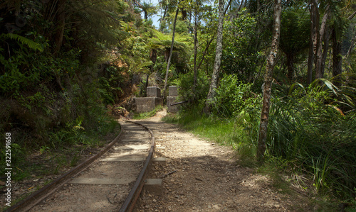 Karangahake gorge New Zealand. Forest and railroadtrack historic goldmining area. photo