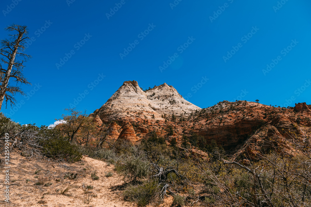 Nature landscape of Zion National Park, USA. This nature landscape is taken at Observation Point in Zion National Park. This nature landscape is also taken during the day. - Image