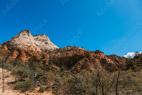 Nature landscape of Zion National Park, USA. This nature landscape is taken at Observation Point in Zion National Park. This nature landscape is also taken during the day. - Image