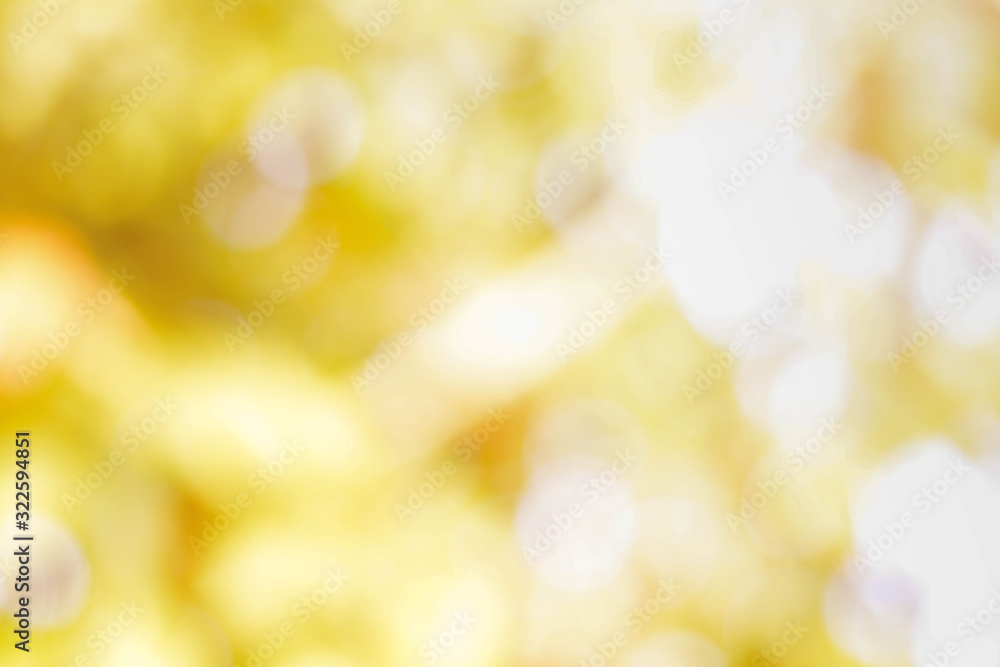 Obraz premium background from nature under tree shade