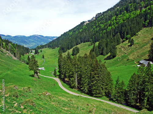 Ijental Alpine valley in the Obertoggenburg region and along the Ijentaler Bach stream, Nesslau - Canton of St. Gallen, Switzerland photo