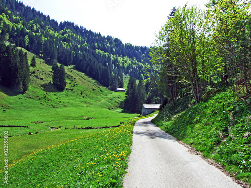 Ijental Alpine valley in the Obertoggenburg region and along the Ijentaler Bach stream, Nesslau - Canton of St. Gallen, Switzerland photo