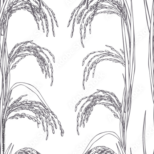 Hand drawn rice plants. Vector  seamless pattern