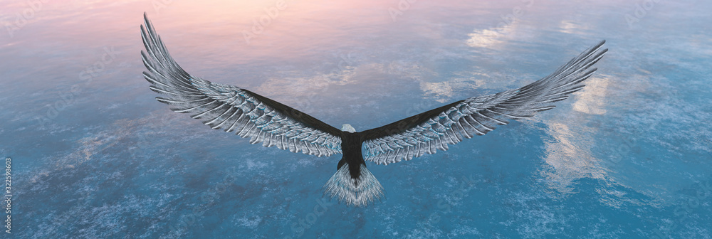 Fototapeta Eagle flying flush with water