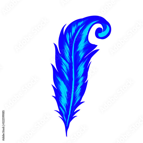 vector illustration of peacock feather