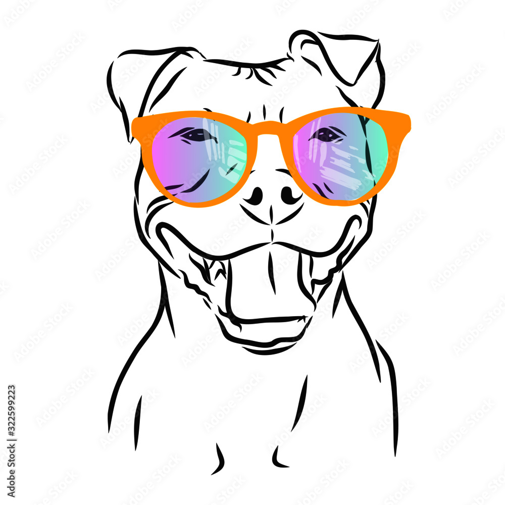 Happy dog hipster with rainbow glasses Happy dog hipster with rainbow glasses