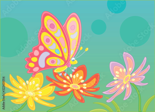Beautiful ornate butterfly ...