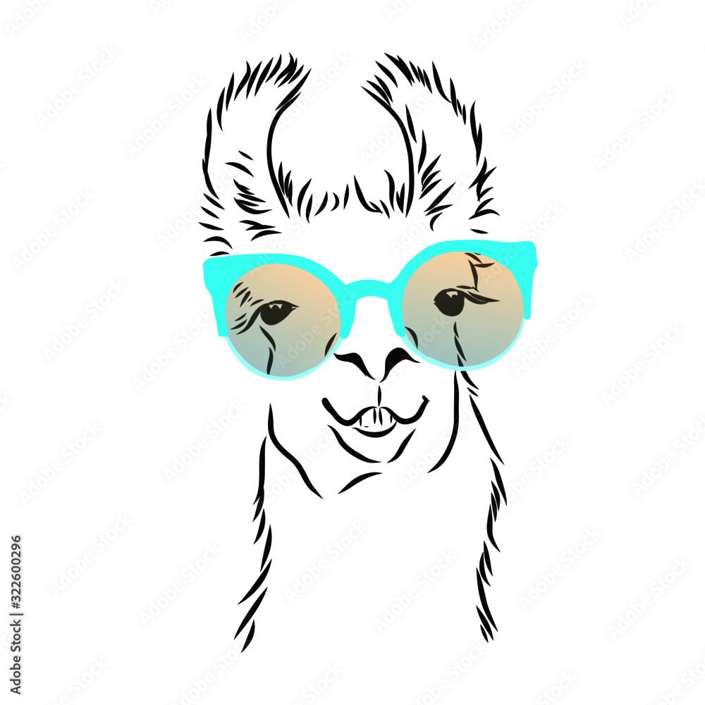 illustration of a llama with fashion glasses illustration of a llama with fashion glasses