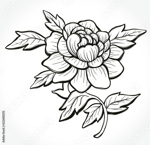 Hand drawn beautiful monochrome rose isolated on background. Element for  special your day  wedding  birthday  Valentine s day  blogs  prints. Hand drawn vector illustration. 