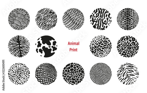 Wild Animal Print Circles Vector Set