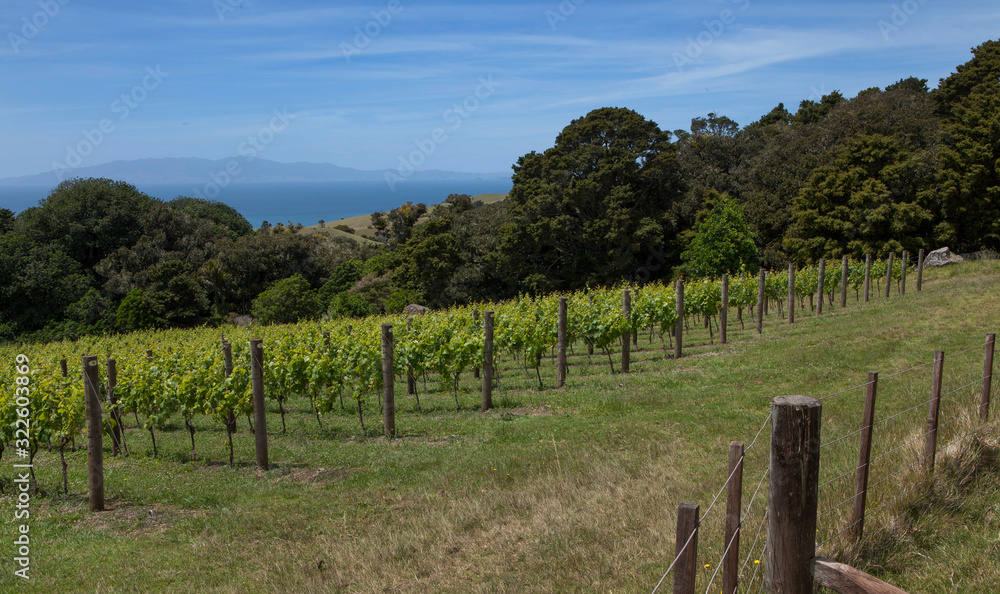Waiheke Island New Zealand Auckland Stony Batter Hills Vineyard