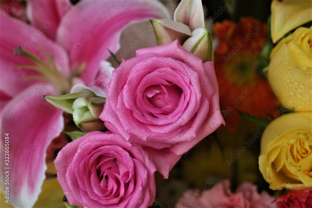 bouquet of pink roses bouquet of pink roses