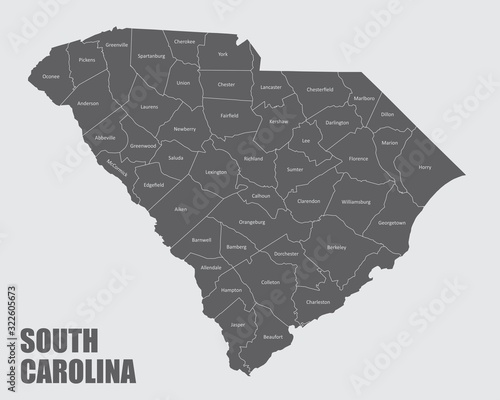 The South Carolina isolated map and its counties with labels
