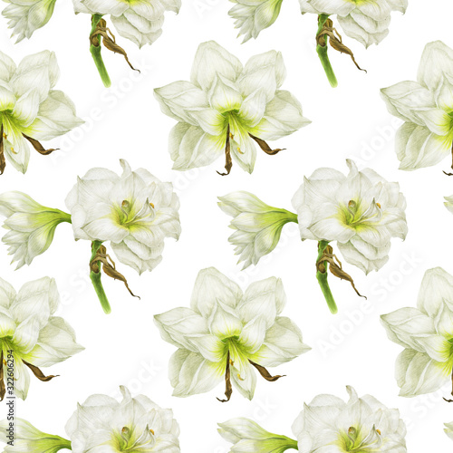 White Hippeastrum flowers in white seamless pattern