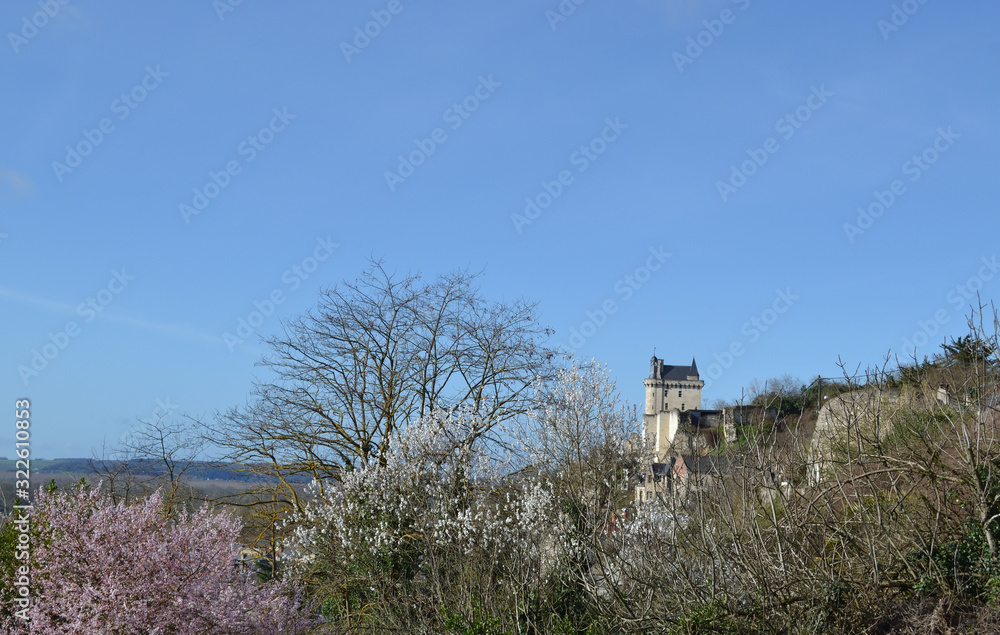 Fototapeta premium Château de Chinon