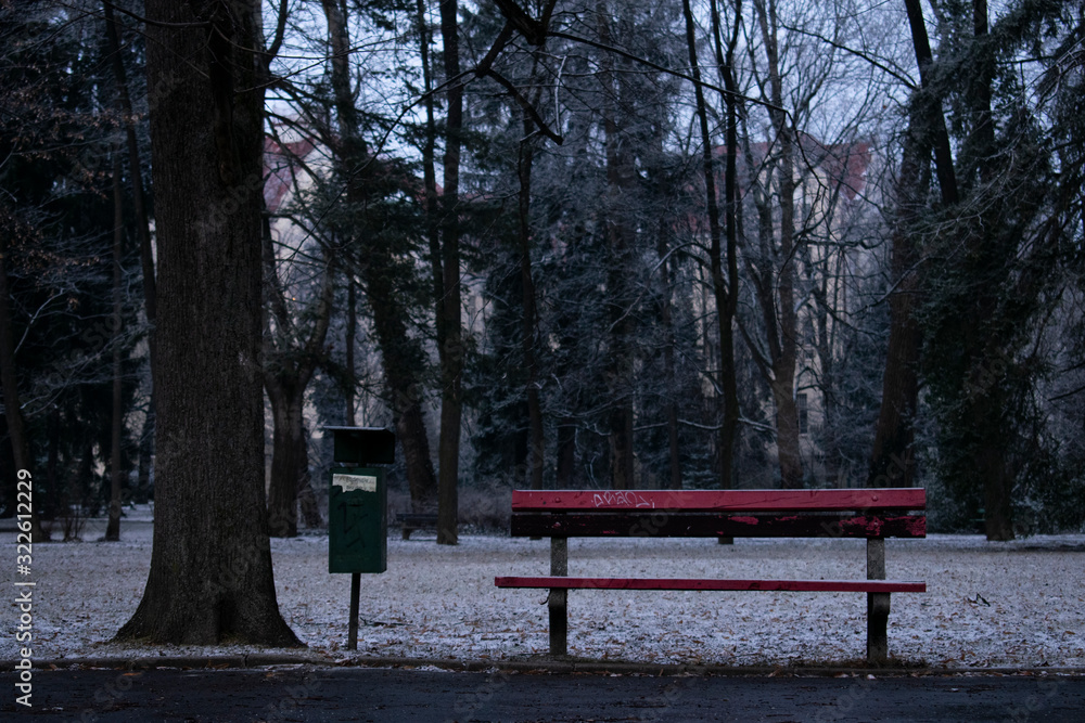 Empty bench in park. Winter empty wooden park