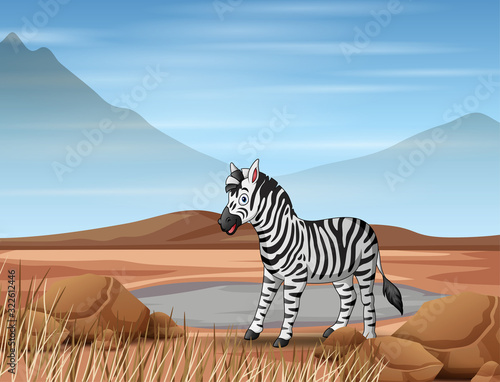 Cartoon a zebra living in dry land