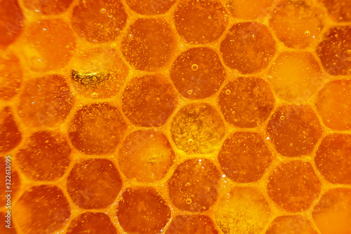 Honey close-up. Honey in honeycomb. Transparent honey flows down the honeycomb.