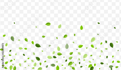 Forest Foliage Vector Branch. Green Greens 