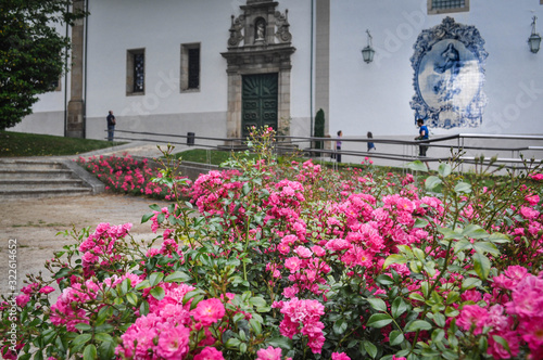 Wallpaper Mural Pink flowers, roses on the background of a house with a white facade and tiles azulejos. Guimaraes. Portugal Torontodigital.ca