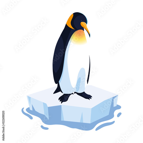 penguin on an ice floe drifting