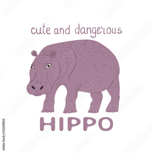 Cartoon hippo with slogan Cute and Dangerous. Childish tee shirt design.