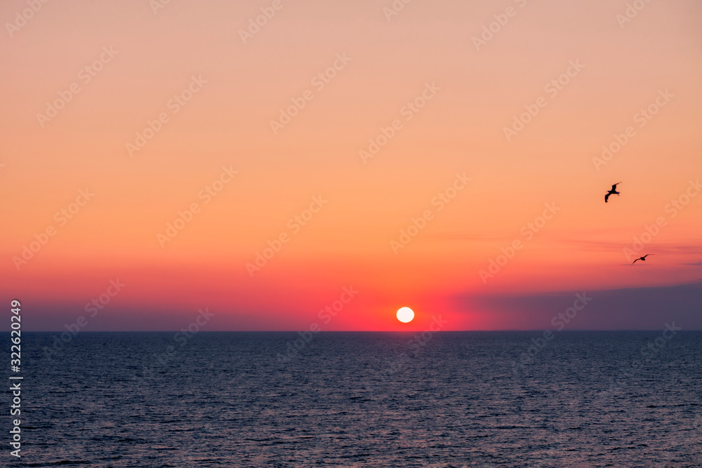 The sunset of the bright summer sun in the sea. The sunset of the bright summer sun in the sea.