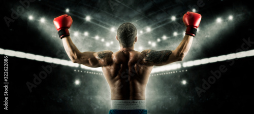 Платно Boxer celebrating win on dark background. Sports banner