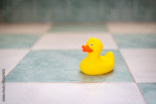 Obraz na plátně Patito de goma amarillo en el baño