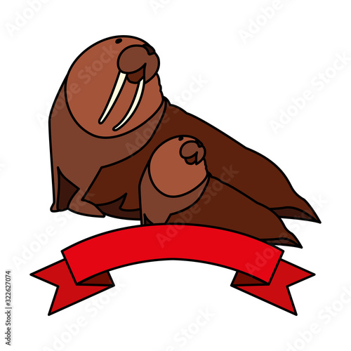 walrus with cub on a white background