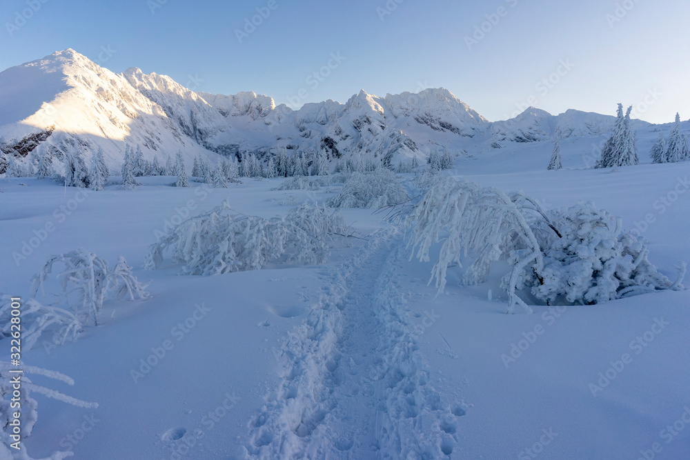 Obraz premium Snowy peaks of the High Tatras in the afternoon sun.