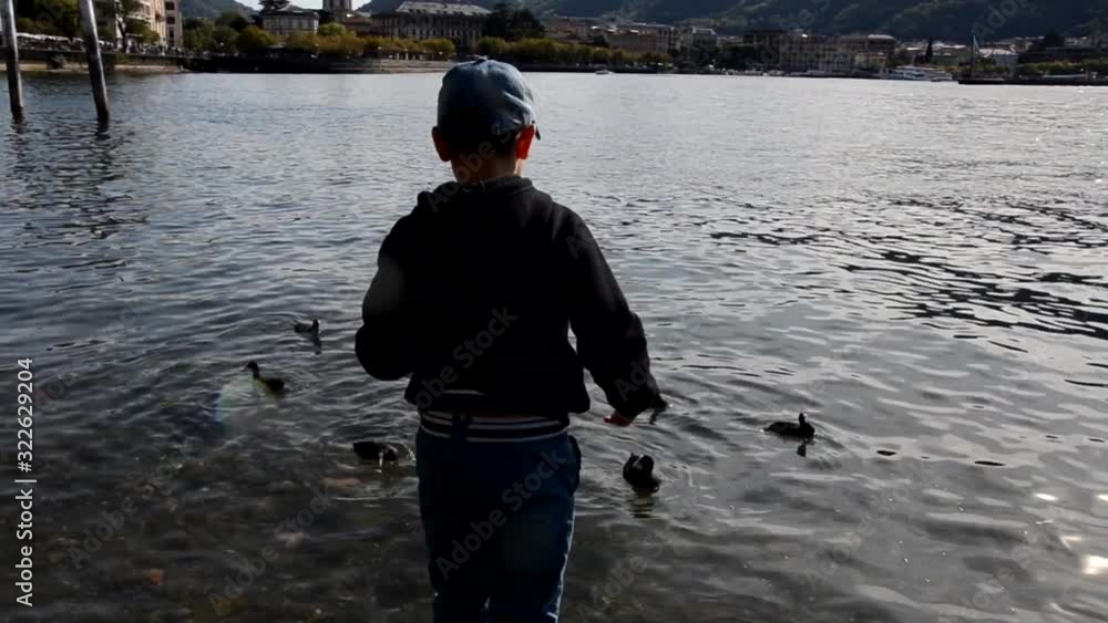 Back view of little boy throwing food into river to feed ducks, beautiful view of the lake Back view of little boy throwing food into river to feed ducks, beautiful view of the lake
