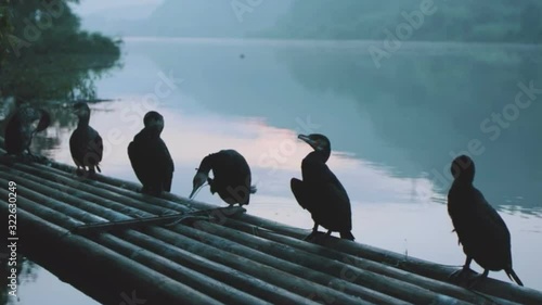 Cormorants on a bamboo raft in Guilin