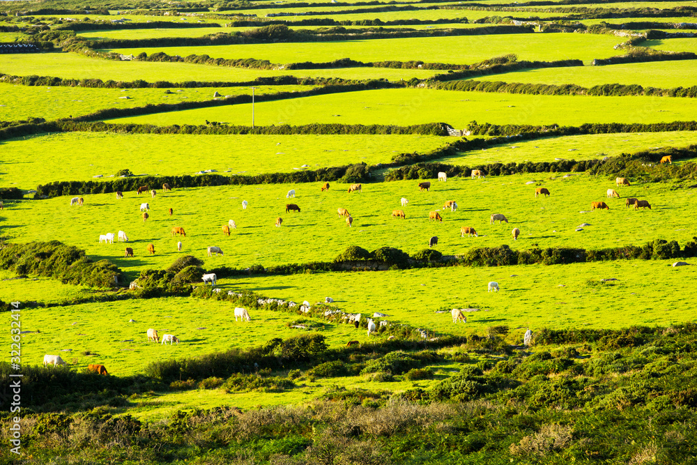 Ancient field boundaries near Zennor, Cornwall, UK. Ancient field boundaries near Zennor, Cornwall, UK.