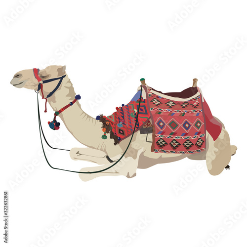 Arabian camel dromedary vector flat isolated illustration